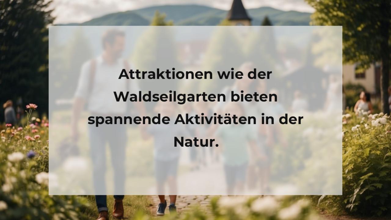 Attraktionen wie der Waldseilgarten bieten spannende Aktivitäten in der Natur.