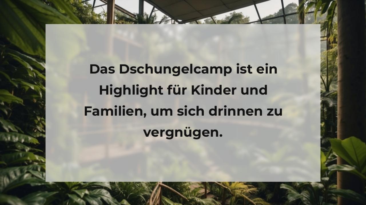 Das Dschungelcamp ist ein Highlight für Kinder und Familien, um sich drinnen zu vergnügen.
