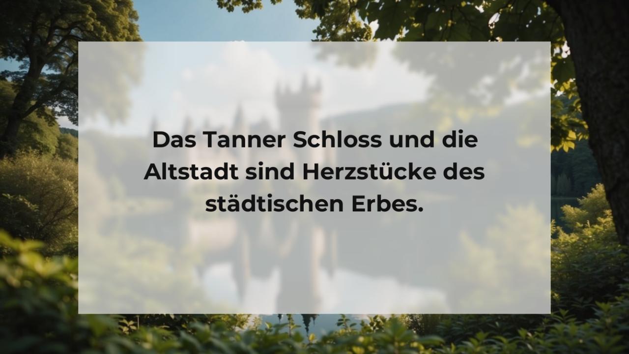 Das Tanner Schloss und die Altstadt sind Herzstücke des städtischen Erbes.