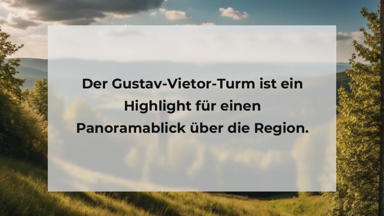 Der Gustav-Vietor-Turm ist ein Highlight für einen Panoramablick über die Region.