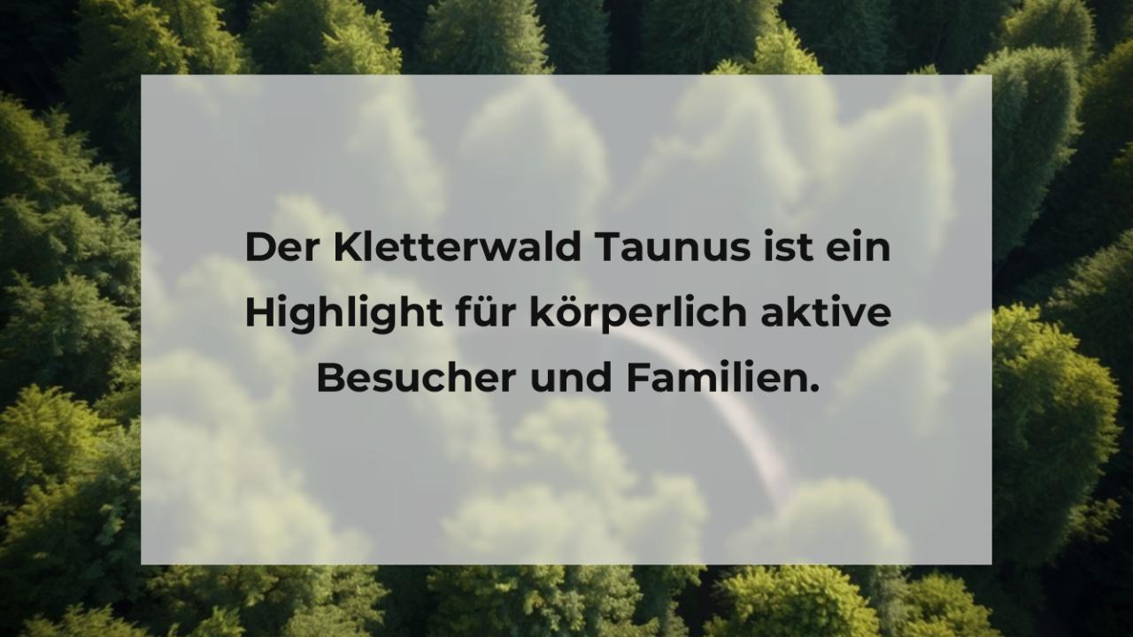 Der Kletterwald Taunus ist ein Highlight für körperlich aktive Besucher und Familien.