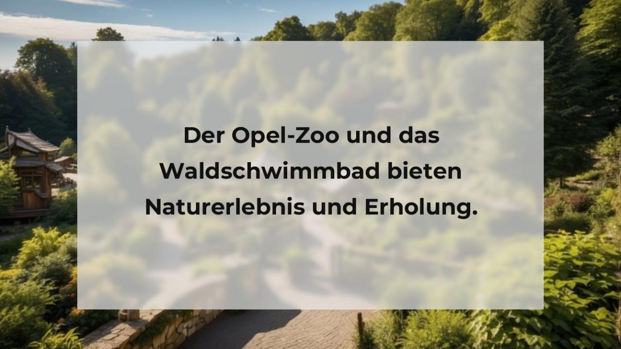 Der Opel-Zoo und das Waldschwimmbad bieten Naturerlebnis und Erholung.