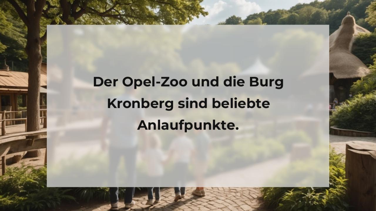 Der Opel-Zoo und die Burg Kronberg sind beliebte Anlaufpunkte.