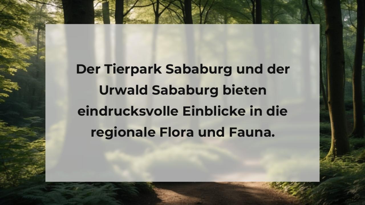 Der Tierpark Sababurg und der Urwald Sababurg bieten eindrucksvolle Einblicke in die regionale Flora und Fauna.