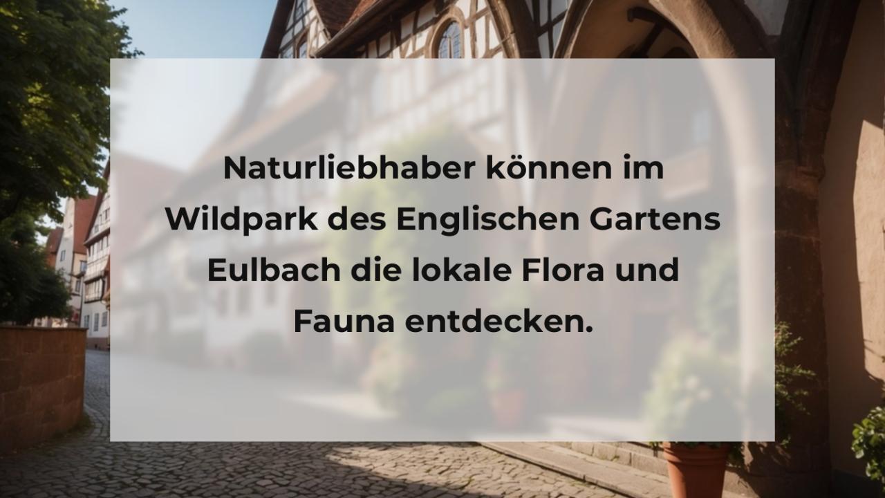 Naturliebhaber können im Wildpark des Englischen Gartens Eulbach die lokale Flora und Fauna entdecken.