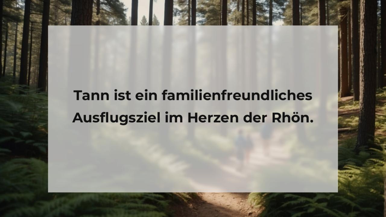 Tann ist ein familienfreundliches Ausflugsziel im Herzen der Rhön.