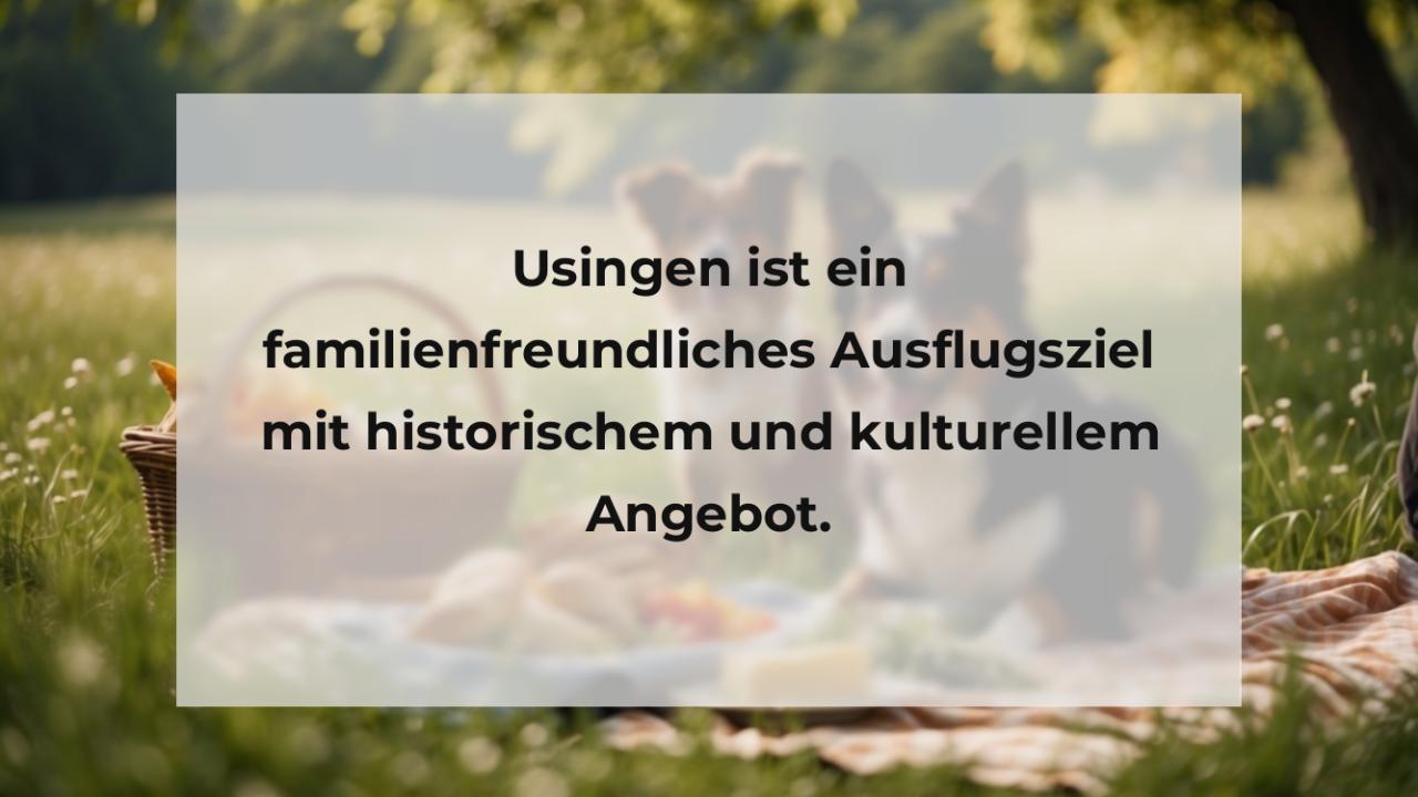 Usingen ist ein familienfreundliches Ausflugsziel mit historischem und kulturellem Angebot.