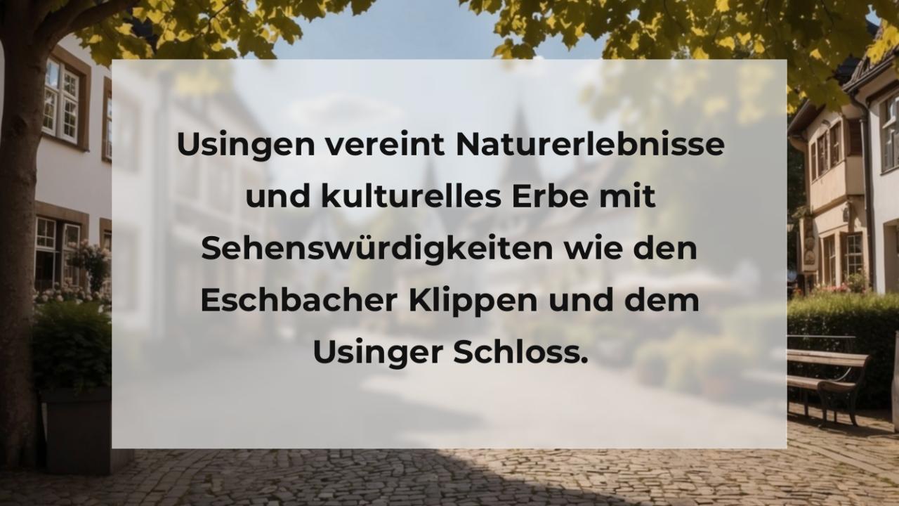 Usingen vereint Naturerlebnisse und kulturelles Erbe mit Sehenswürdigkeiten wie den Eschbacher Klippen und dem Usinger Schloss.