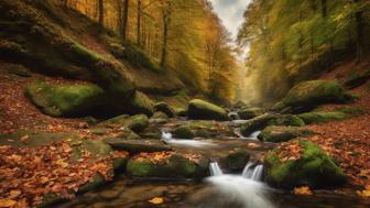 wo liegt der odenwald entdecke die versteckten schaetze dieser einzigartigen region in hessen